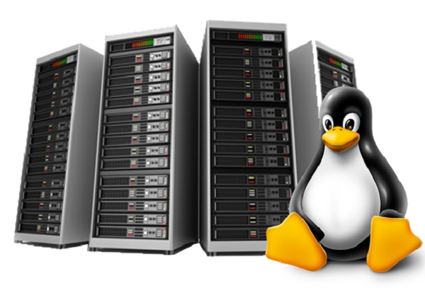 The All-Encompassing Advantage: Exploring Unlimited Web Hosting