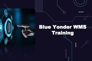 Blue Yonder WMS Training